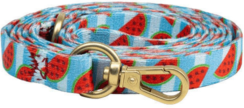 Habby Collar Dog Leash/Lead Strap Habby ML01 Medium/Large 1.2m x 2cm