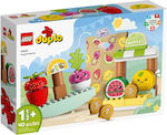 Lego Duplo Organic Market for 1.5+ Years