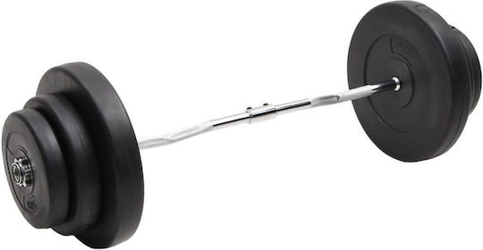 vidaXL ​Στραβόμπαρα Φ25mm Σετ με Βάρη 60kg Μήκους 120cm χωρίς Κολάρα