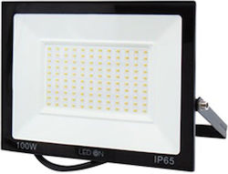 Led On QY-2505 LED Flood Light 100W Waterproof 6500K Led On QY-2505 LED Flood Light 100W Waterproof 6500K