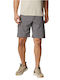 Columbia Silver Ridge Herrenshorts Cargo Gray