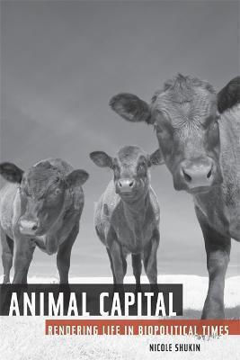 Animal Capital, Rendering Life in Biopolitical Times
