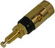 Ultimax Borna Gold Plated 20mm BI-3620G 01.092.0026