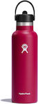 Hydro Flask Standard Mouth Bottle Thermos Stainless Steel BPA Free Red 600ml with Loop