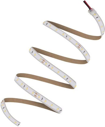 Ledvance Αδιάβροχη Ταινία LED V-2000 24V Θερμό Λευκό Φως 5m Τύπου SMD2835