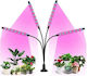 Επιτραπέζιο Grow Light με 80 LED 60εκ.