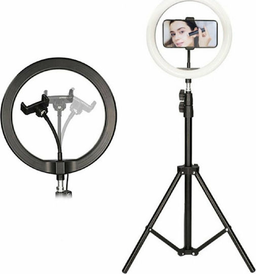 Lucas GL-55431 Ring Light 26cm με 2 Τρίποδα (Επιτραπέζιο & Δαπέδου) και Βάση για Κινητό