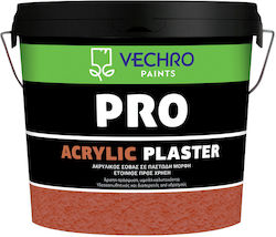 Vechro Σοβάς Pro Acrylic Plaster Λευκό Graffiato 25kg