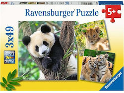 Детски Пъзел Panda, Tiger and Lion Children's за 5++ Години 147бр Ravensburger