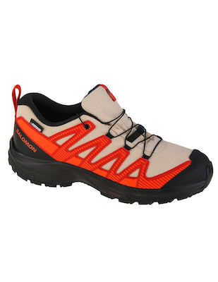 Salomon Xa Pro V8 Mehrfarbig