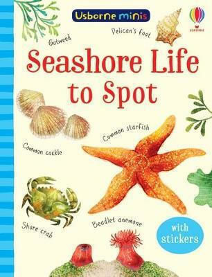 Seashore Life to Spot Seashore Life to Spot