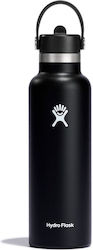 Hydro Flask Standard Mouth with Flex Straw Cap 621ml Schwarz Hydro Flask Standard Mouth with Flex Straw Cap 621ml Schwarz
