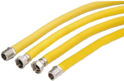 Gas Hose 1m