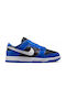 Nike Dunk Femei Sneakers Albastre