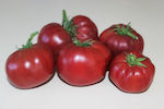 Bononia Seeds Tomatoς 1gr