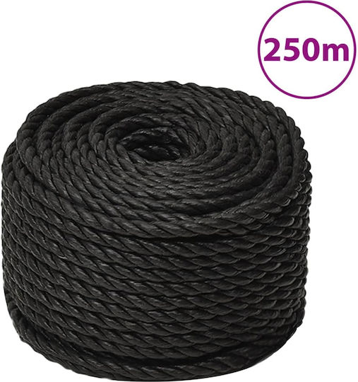 vidaXL Rope with Diameter 16mm and Length 250m Black Working Rope 16mm 250m from Polypropylene
