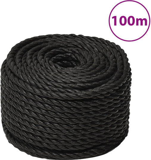 vidaXL Σχοινί Διαμέτρου 16mm με Μήκος 100m Μαύρο Σχοινί Εργασίας Μαύρο 16χιλ. 100μ. από Πολυπροπυλένιο