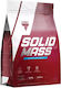 Solid Mass mit Geschmack Vanille 5.8kg