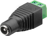 CCTV Connector 01990056