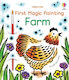 First Magic Painting Farm