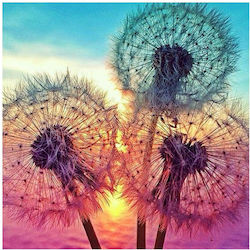 Diamond Painting Canvas Kit 5D DIY Cross Stitch Kit 30x30cm