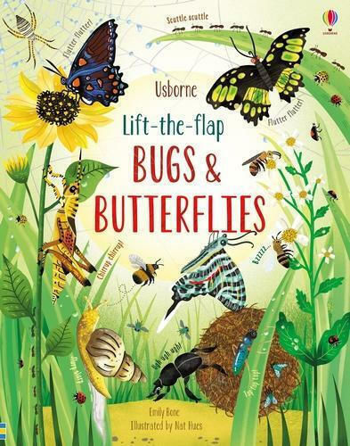 Bugs and Butterflies Bugs and Butterflies