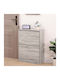 Wooden Shoe Organizer with 2 Shelves Gray 60x24x80cm