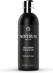 Nostrum Homo Shampoo Haar & Bart 330ml Nostrum Homo Shampoo Haar & Bart 330ml