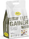 Elit Nutrition Gainer Без Лактоза с Вкус Шоколадов банан 5kg