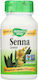 Nature's Way Senna Leaves 450мг 100 вегетариански капсули