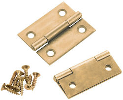 ArteLibre Metallic Cabinet Hinge