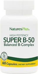 Nature's Plus Super B-50 Βιταμίνη 50mg 60 φυτικές κάψουλες Nature's Plus Super B-50 Βιταμίνη 50mg 60 φυτικές κάψουλες