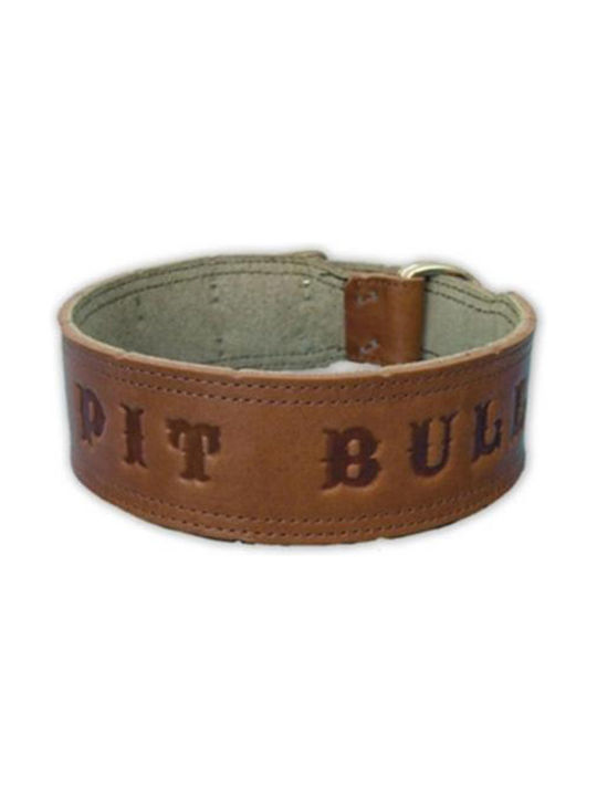 Pit Bull Dog Collar Leather in Brown color 5mm x 55cm