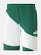 Power Cat Sportliche Herrenshorts Green