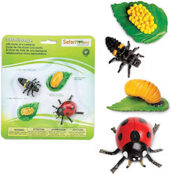 Safari Ltd Life Cycle of a Ladybug für 4+ Jahre alt