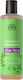 Urtekram Aloe Vera Anti-Dandruff Σαμπουάν κατά της Πιτυρίδας για Κανονικά Μαλλιά 250ml