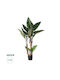 Plantă Artificială în Ghiveci Colocasia Green 160cm GloboStar