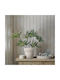 Artificial Plant in Pot Palm Tree Green 50cm GloboStar
