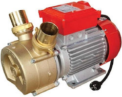 Rover Pompe BE-M50 Αντλία με Ιπποδύναμη 3hp Rover Pompe BE-M50 Αντλία με Ιπποδύναμη 3hp