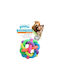 Pawise Rainbow World Ball Toy Dog made of Rubber Small 6εκ. 1pcs