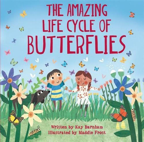 The Amazing Life Cycle Of Butterflies Summary