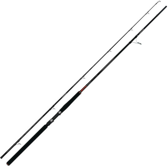 Pregio Passion Καλάμι Ψαρέματος για Shore Jigging 3.05m 80-120gr