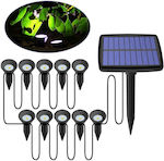 Set of 10 Stake Solar Lights