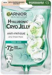 Garnier Skin Naturals Hyaluronic Cryo Jelly Face Revitalization Mask