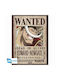 GB eye Poster One Piece - Wanted Whitebeard 38x52cm