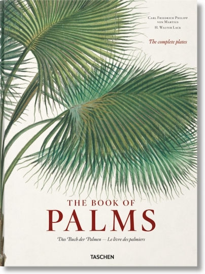 The Book of Palms
