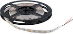 Elmark LED Strip 24V RGB 5m Inspired SMD5050 99LED893RGBIP20