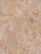 Wallpaper Vinyl Beige L1005xW53cm