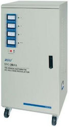 TNS-30 KV CNKV Voltage Regulator Servo