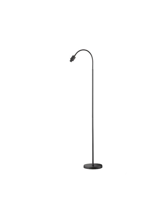 Fischer Honsel Floor Lamp H145xW60cm. with Socket for Bulb E14 Black